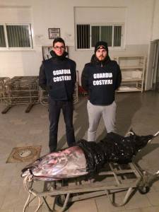 Guardia Costiera sequestrato tonno da 80 kg pescato nonostante divieto