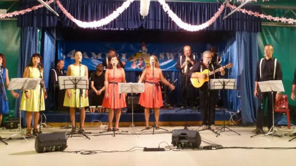 Swingeneris