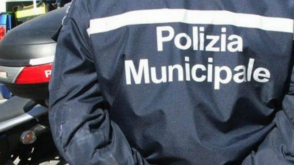 repertorio