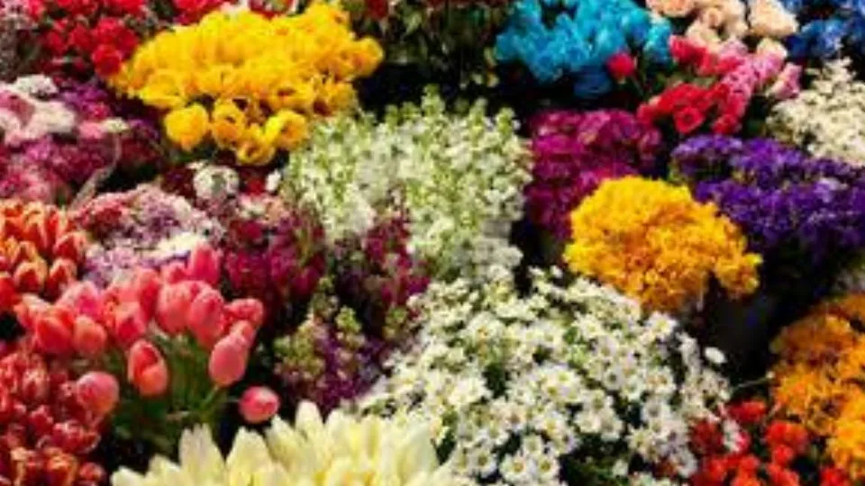 fiori