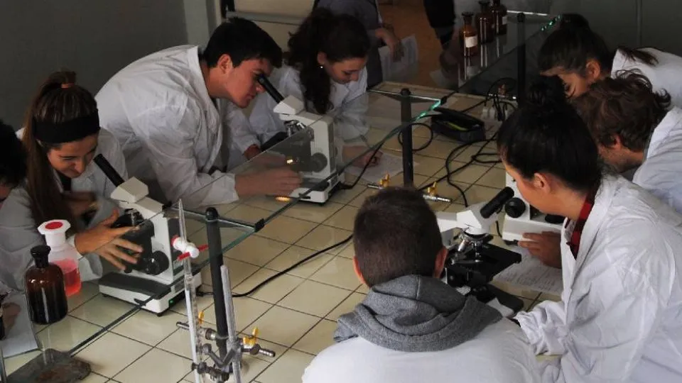 Studenti del Liceo Einstein impegnati nelle esercitazioni del Laboratori di Scienze della scuola