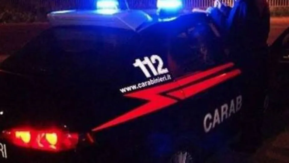 repertorio
