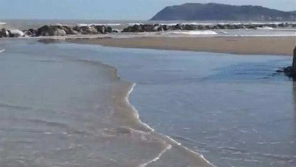 repertorio