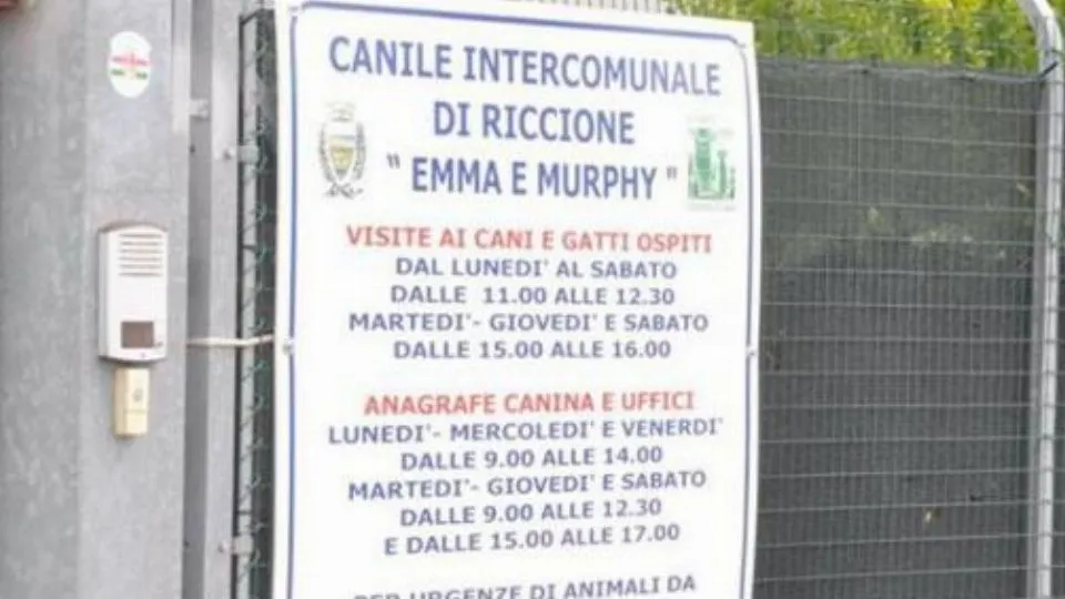 l’ingresso del canile
