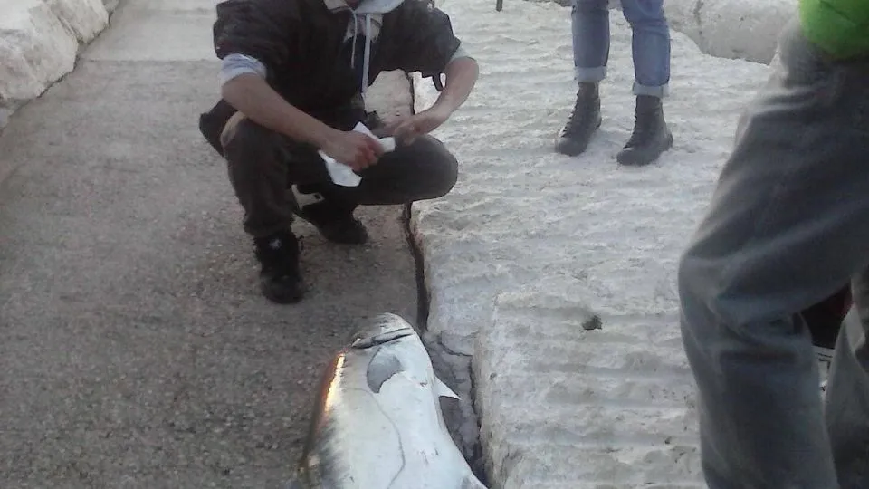 pescatore e pesce (foto Manuela Fabbri)

