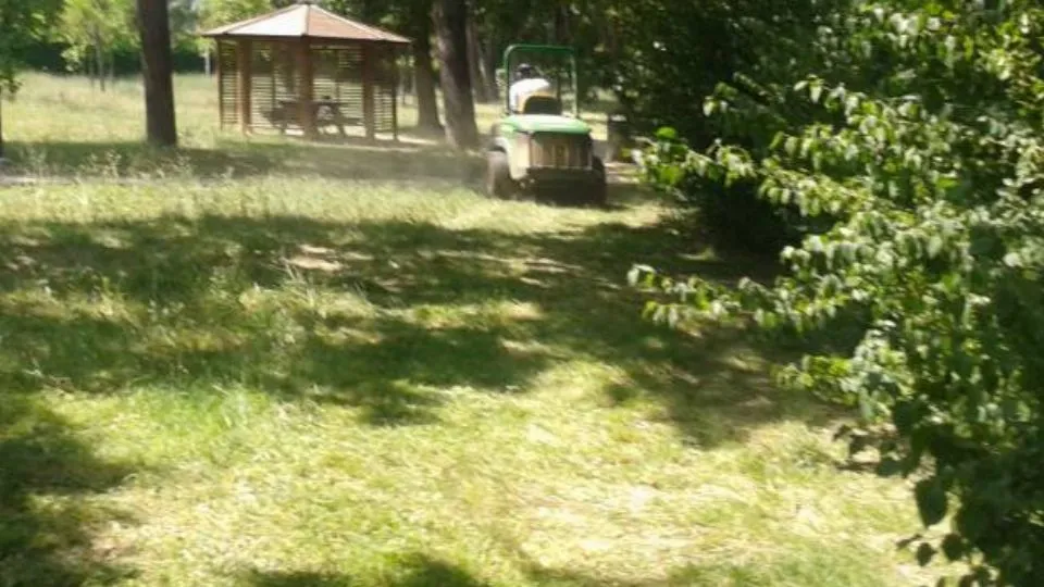 il falciaerba in azione (Newsrimini.it)
