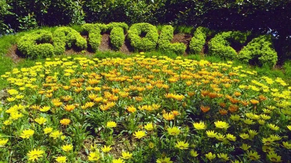 nella foto Cattolica in Fiore
