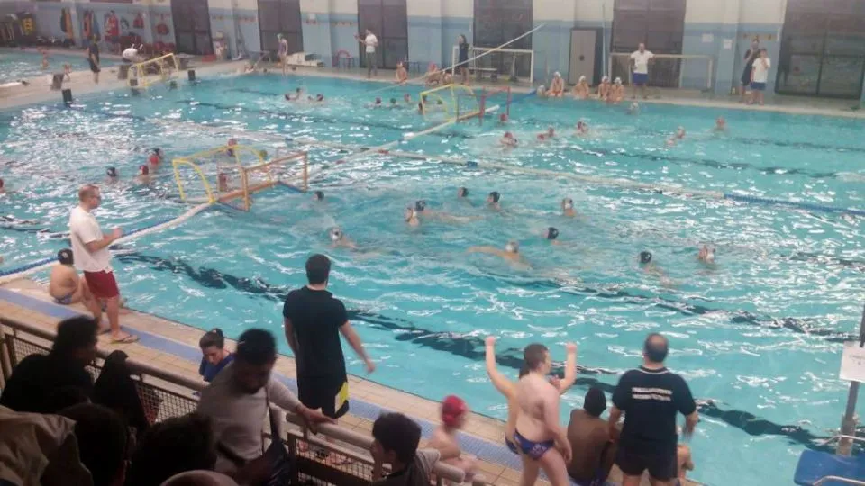 Tisanoreica in acqua a Bologna
