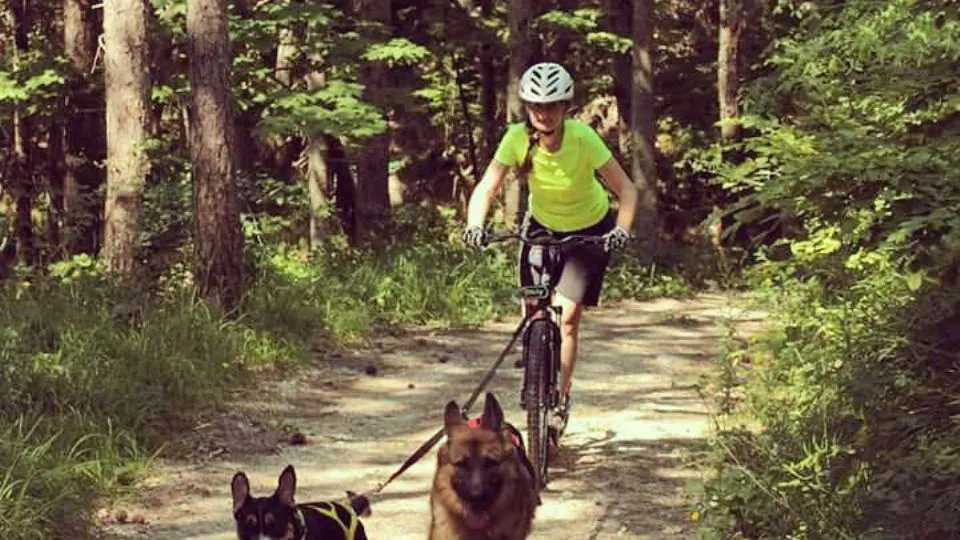 Nicoletta Cogoni con Cliff e Ambra – scooter joring al cippo