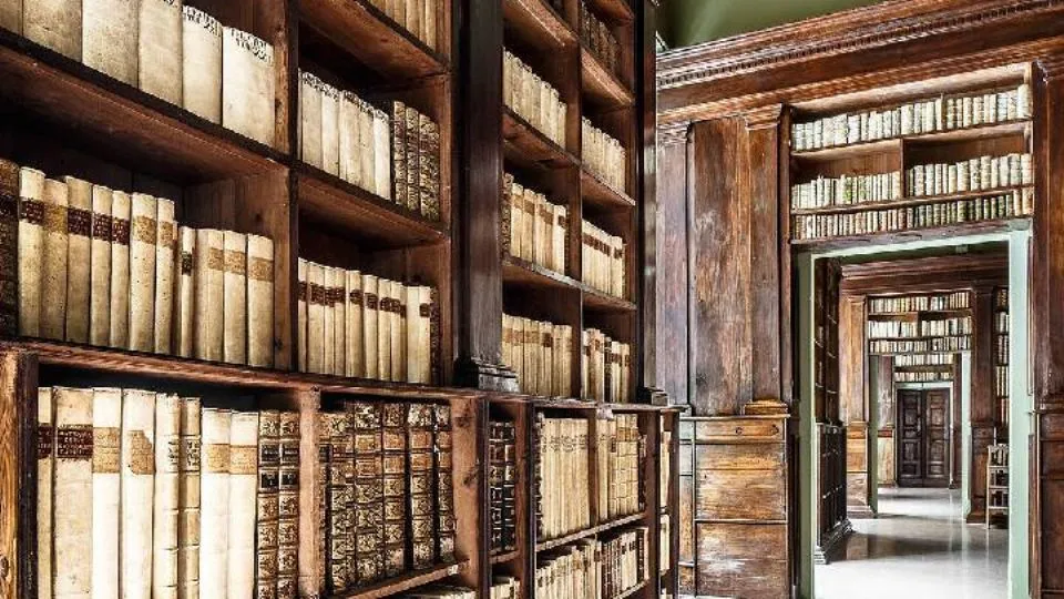 La foto che si è aggiudicata il quarto posto