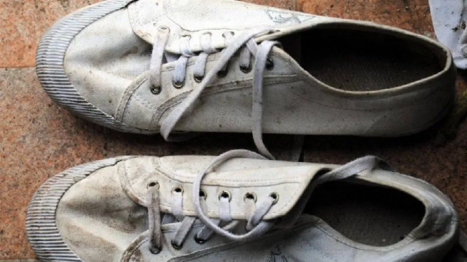 le scarpe