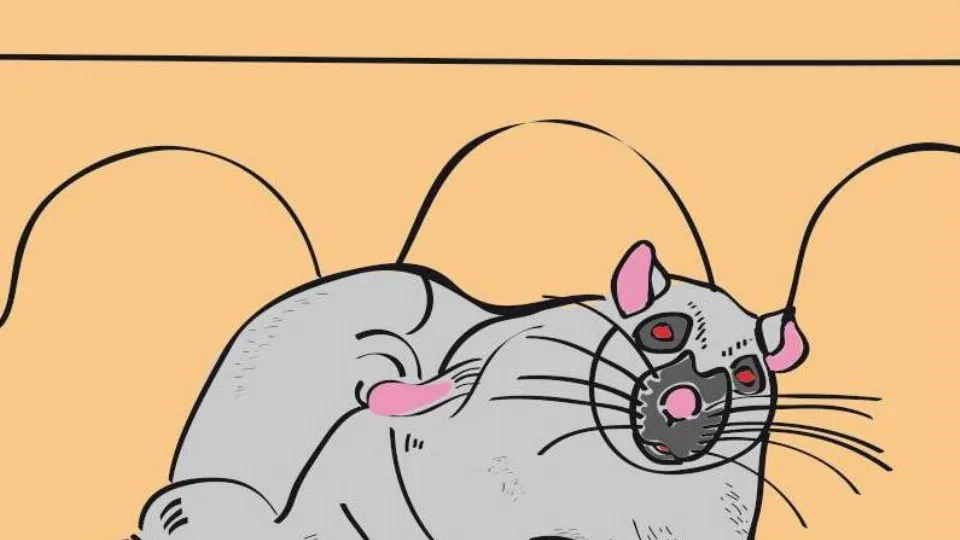 il logo del Comitato
