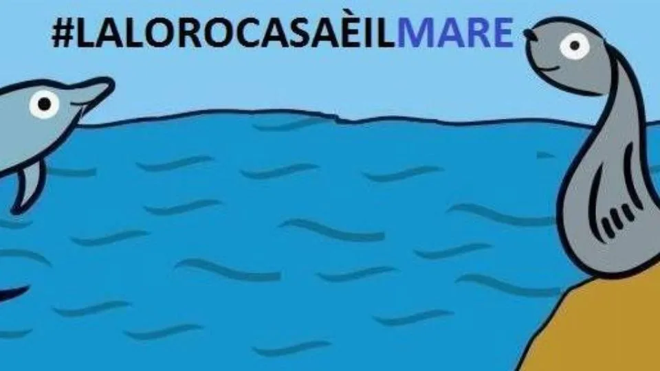 l’immagine di Basta Delfinari