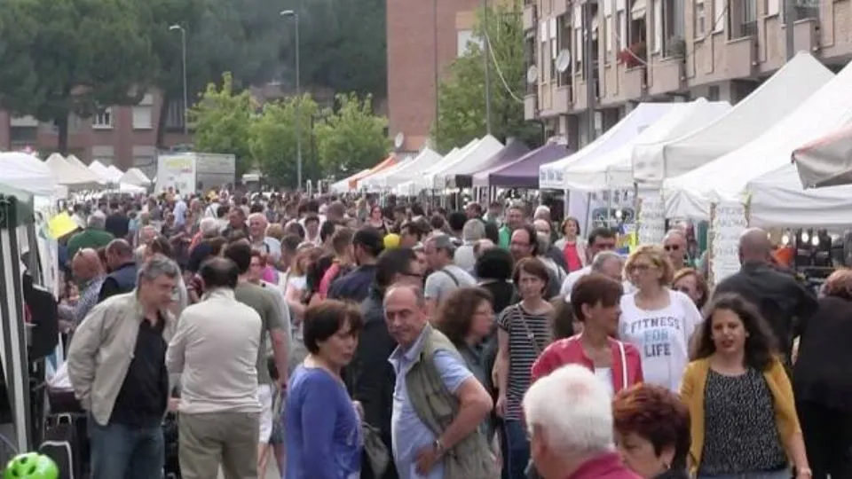 Zeinta in Festa 2016
