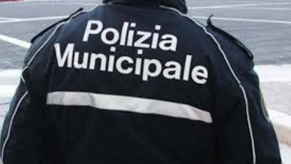 repertorio
