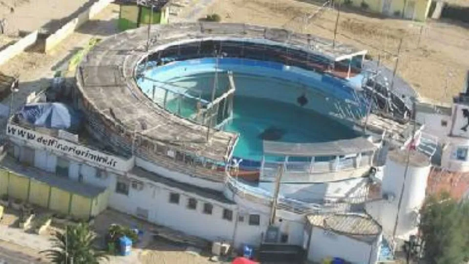 l’ex delfinario di Rimini