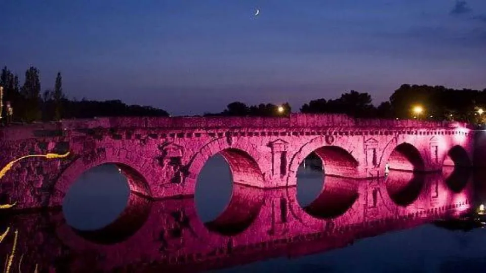il ponte in rosa
