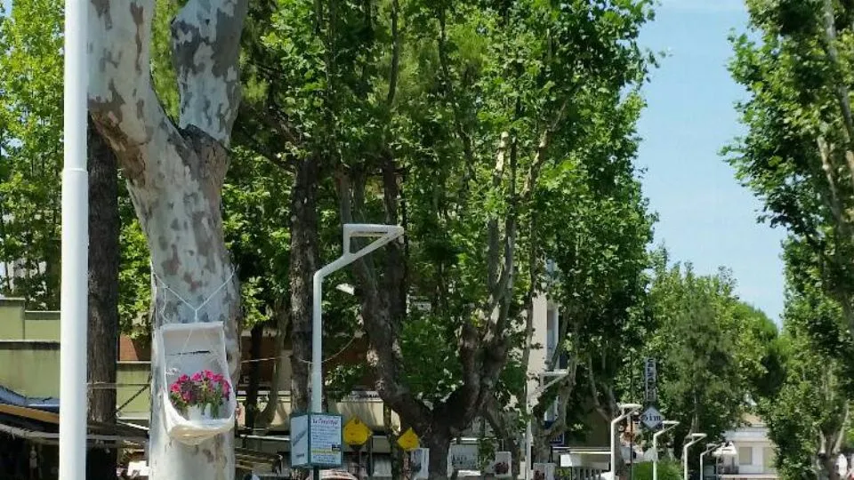 I nuovi lampioni su via Perugia