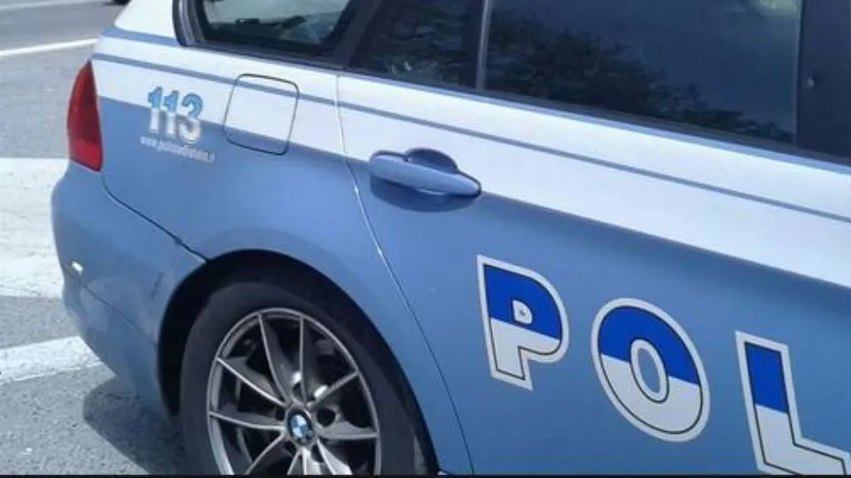 repertorio
