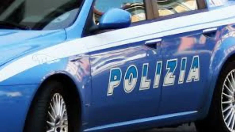 repertorio
