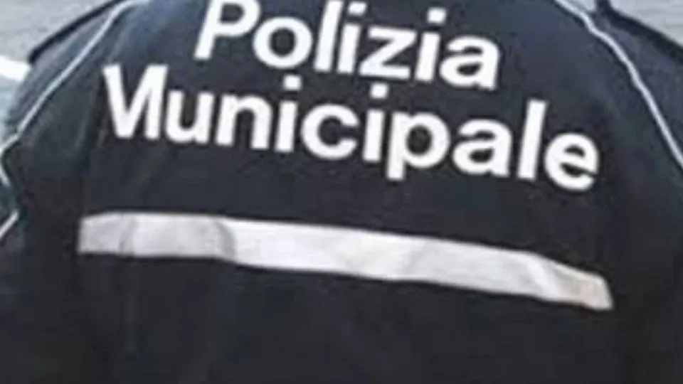 repertorio