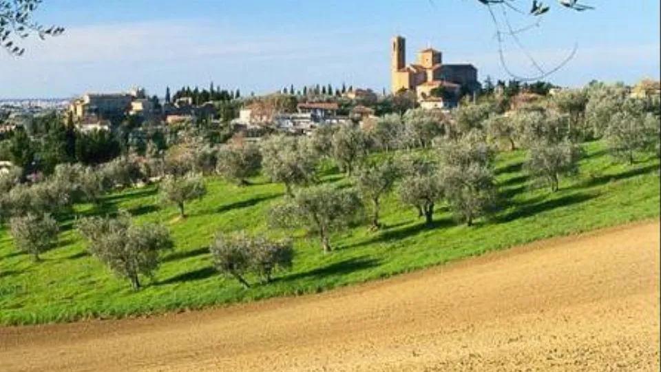 Coriano