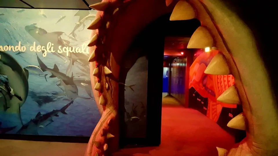 l’acquario di Cattolica