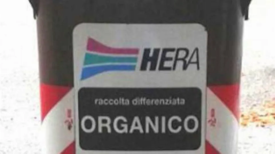 repertorio