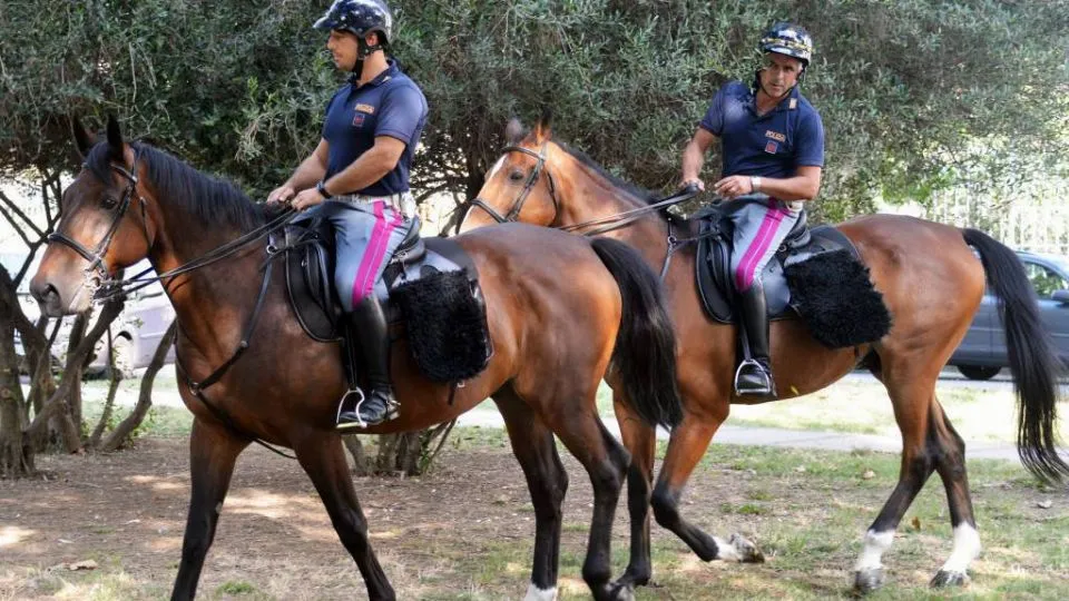 agenti a cavallo durante i controlli