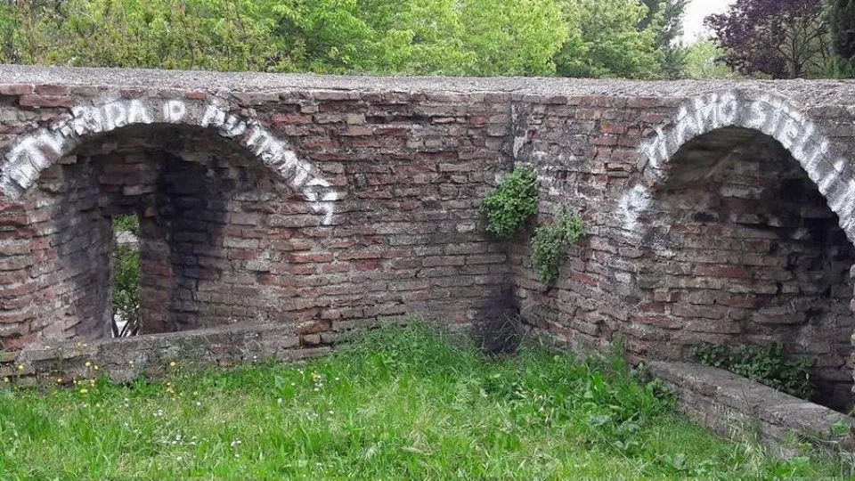la foto postata da Torri
