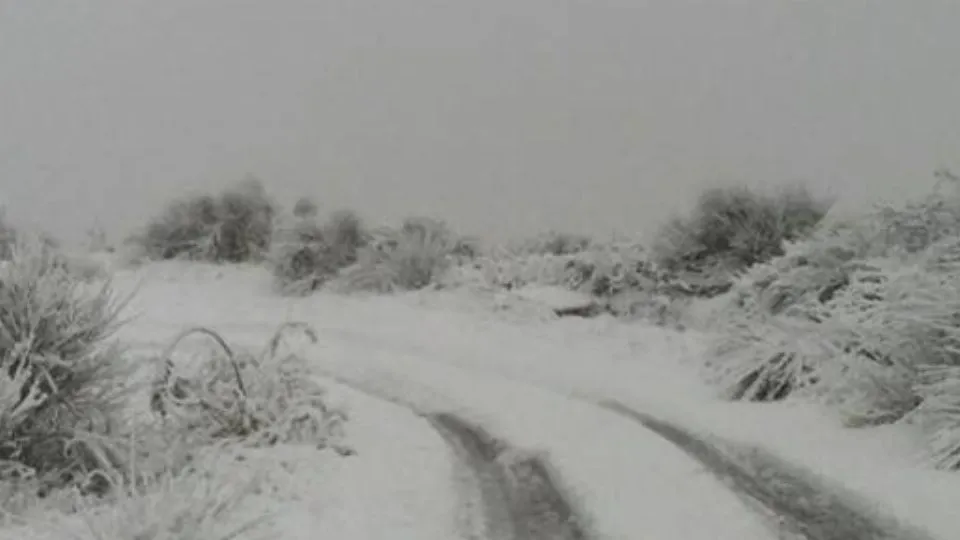 l’Alta Valmarecchia (FB Protezione Civile comuni  Provincia di Rimini)
