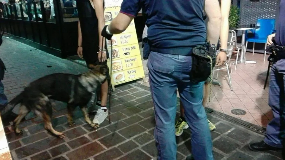 i controlli con Gimbo
