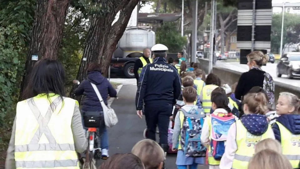 il pedibus