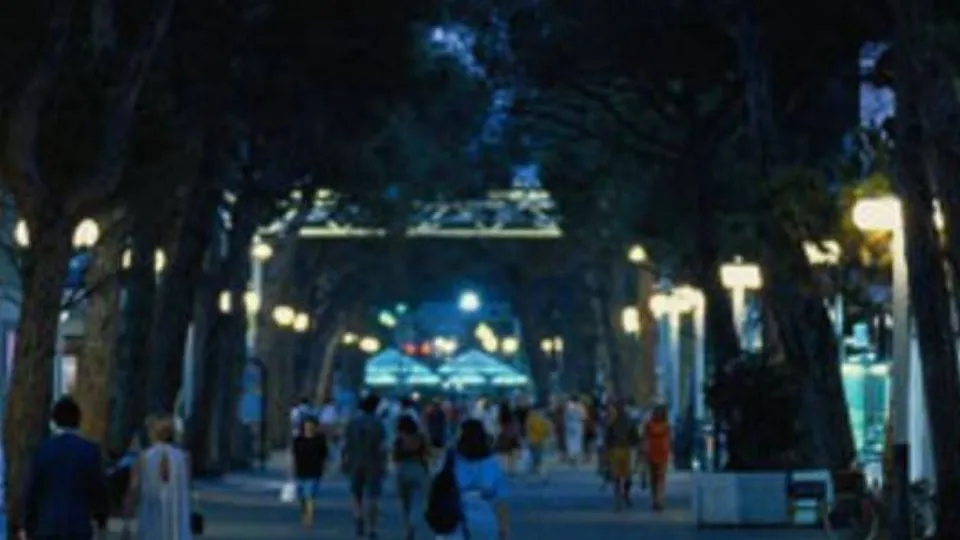 viale Ceccarini