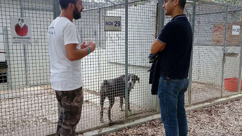 Visita al canile comunale dell’assessore Sadegholvaad
