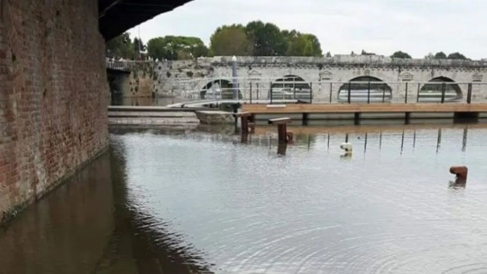 un particolare della foto scattata da Rufo Siina (FI)