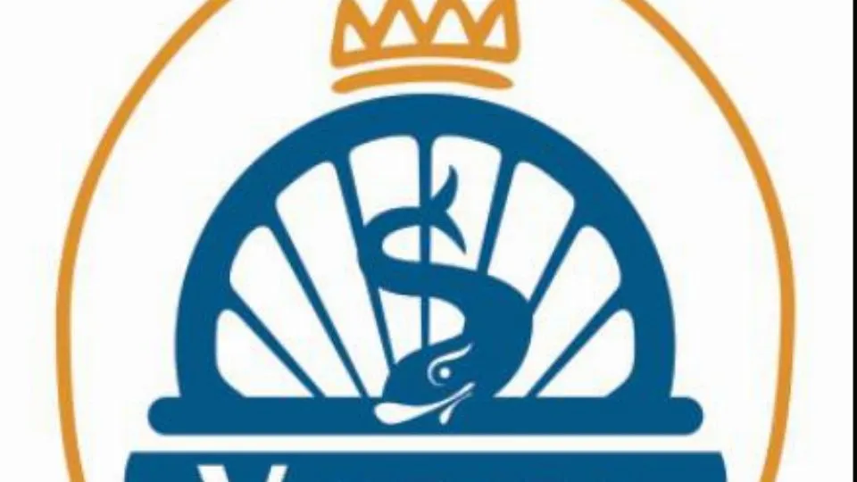 il logo
