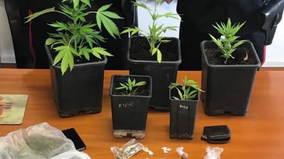 droga e denaro sequestrati

