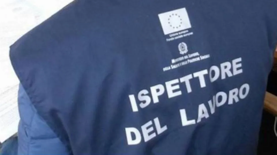 repertorio
