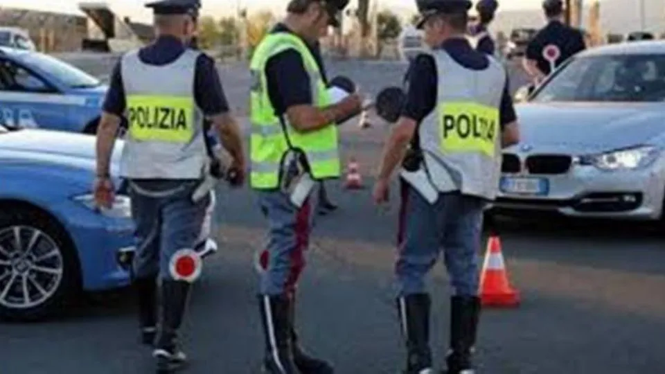 repertorio
