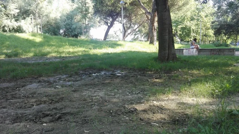 fango e niente erba (Parco Callas)
