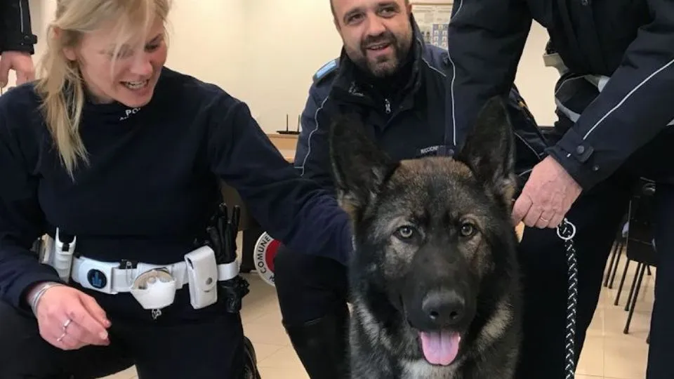 L’unità cinofila di Riccione col cane Ziko
