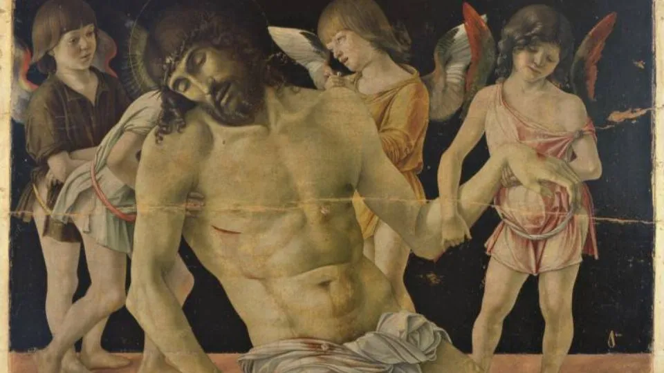 il dipinto del Bellini al Museo di Rimini