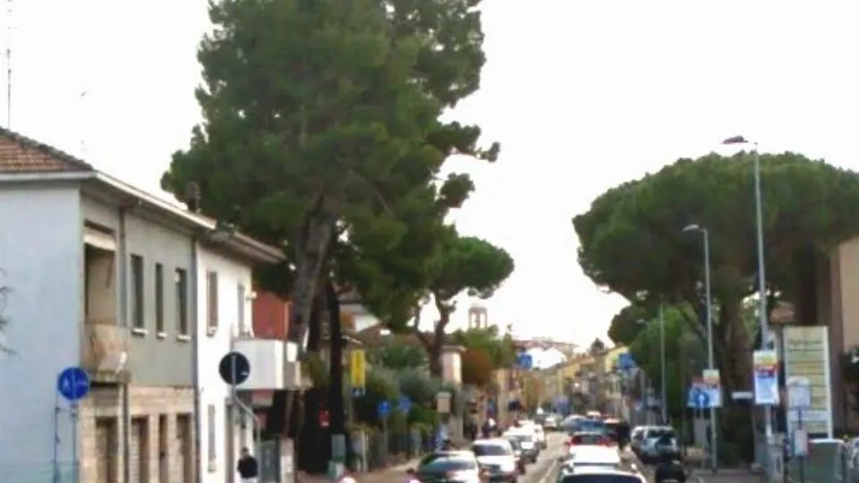 la Marecchiese