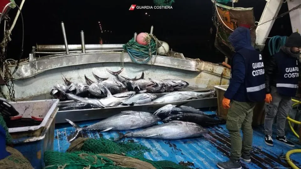 Una parte di pescato sequestrato dalla Capitaneria