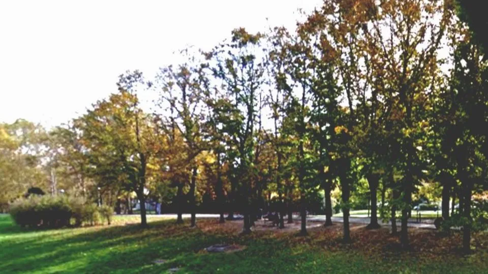 il parco Cervi
