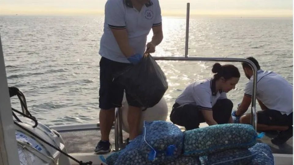 parte delle vongole sequestrate
