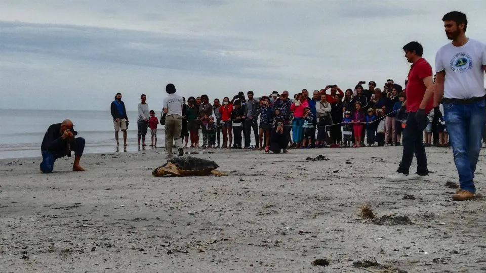 il momento del rilascio
