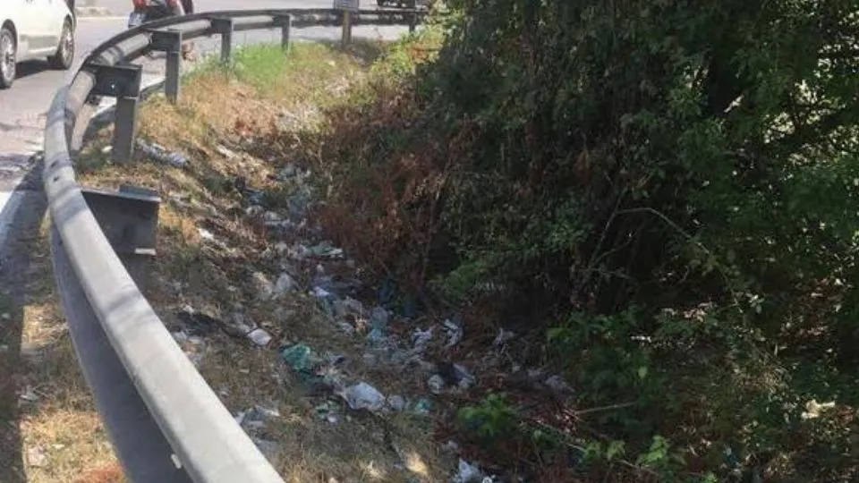 i rifiuti in questione
