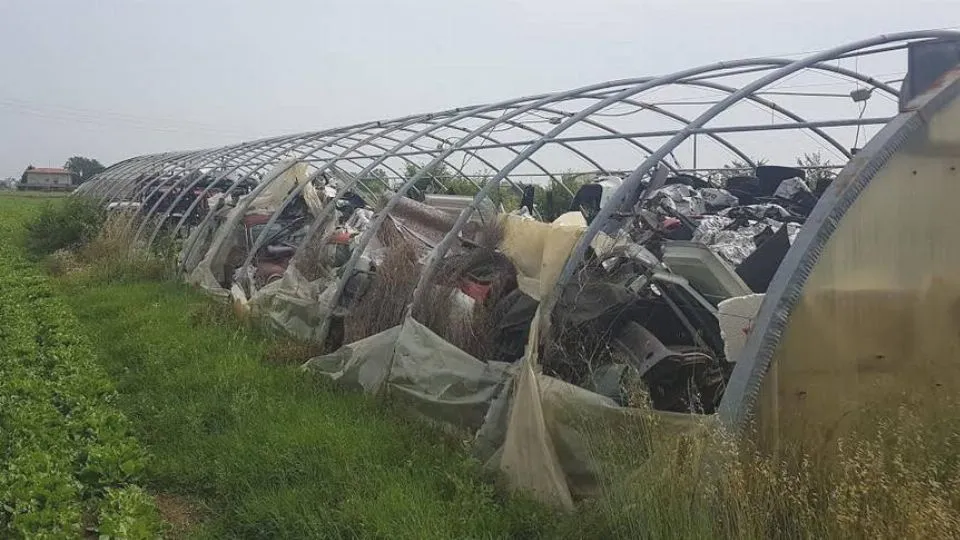 l’area sequestrata
